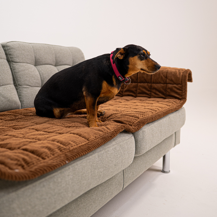 Sofa Guard - Soft in Aktion