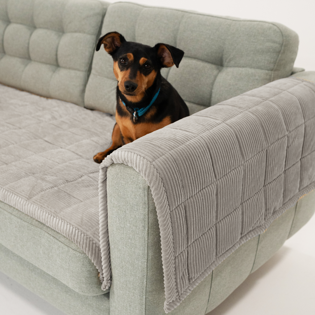 Sofa Guard - Soft in Aktion