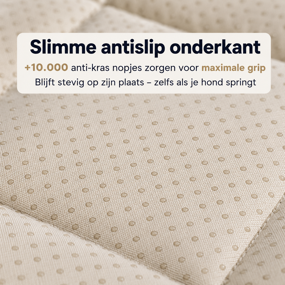 ScratchGuard – In actie
